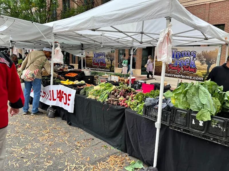 View of Soda City Market in Columbia, SC