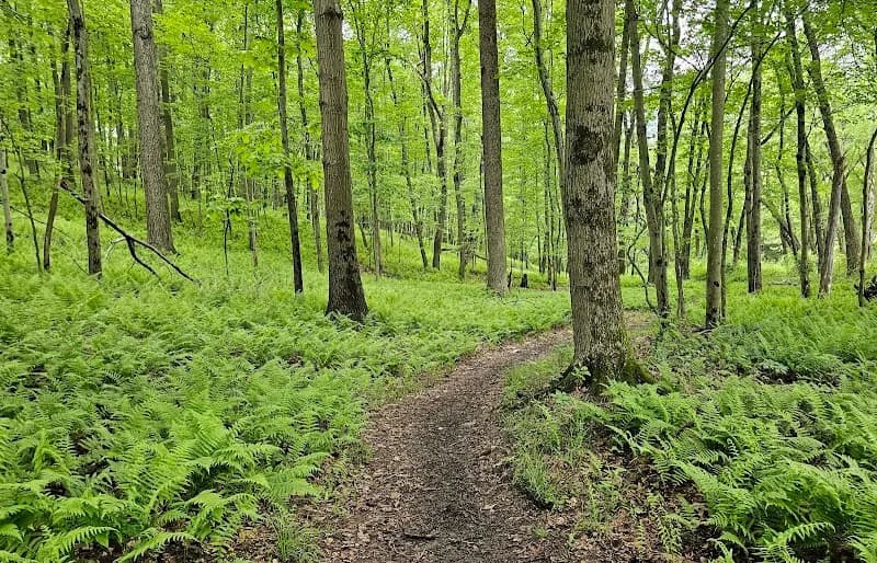 View of Soldiers Delight Natural Environment Area in Owings Mills, MD
