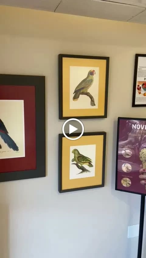 View of Sorveteria Gelato do Centro in São Caetano do Sul, SP