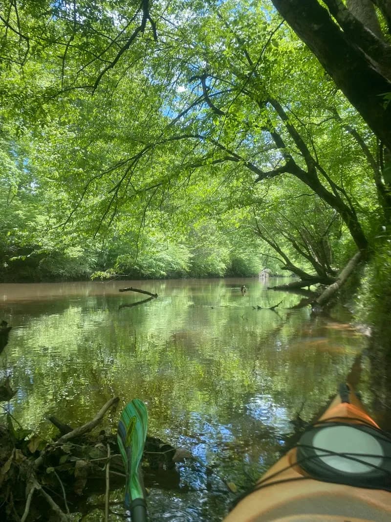 View of South Anna River in Hanover, VA