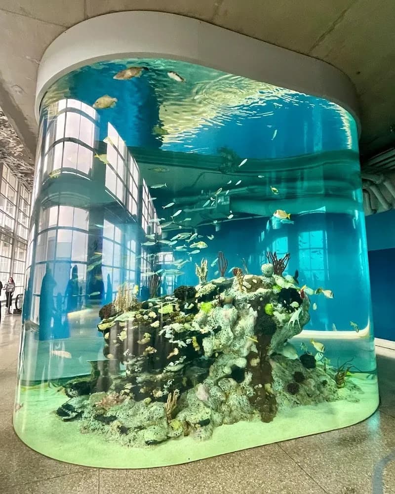 South Carolina Aquarium aquarium in Charleston, SC