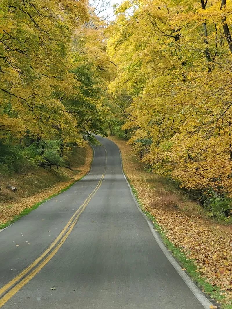 View of South Park Township in Bethel Park, PA