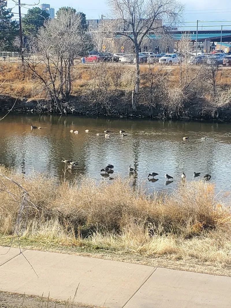 View of South Platte River Trail in Englewood, CO