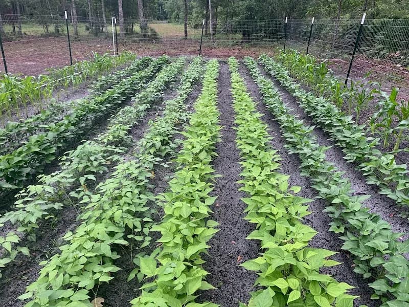 View of Southern Grace Manor, LLC in Starke, FL