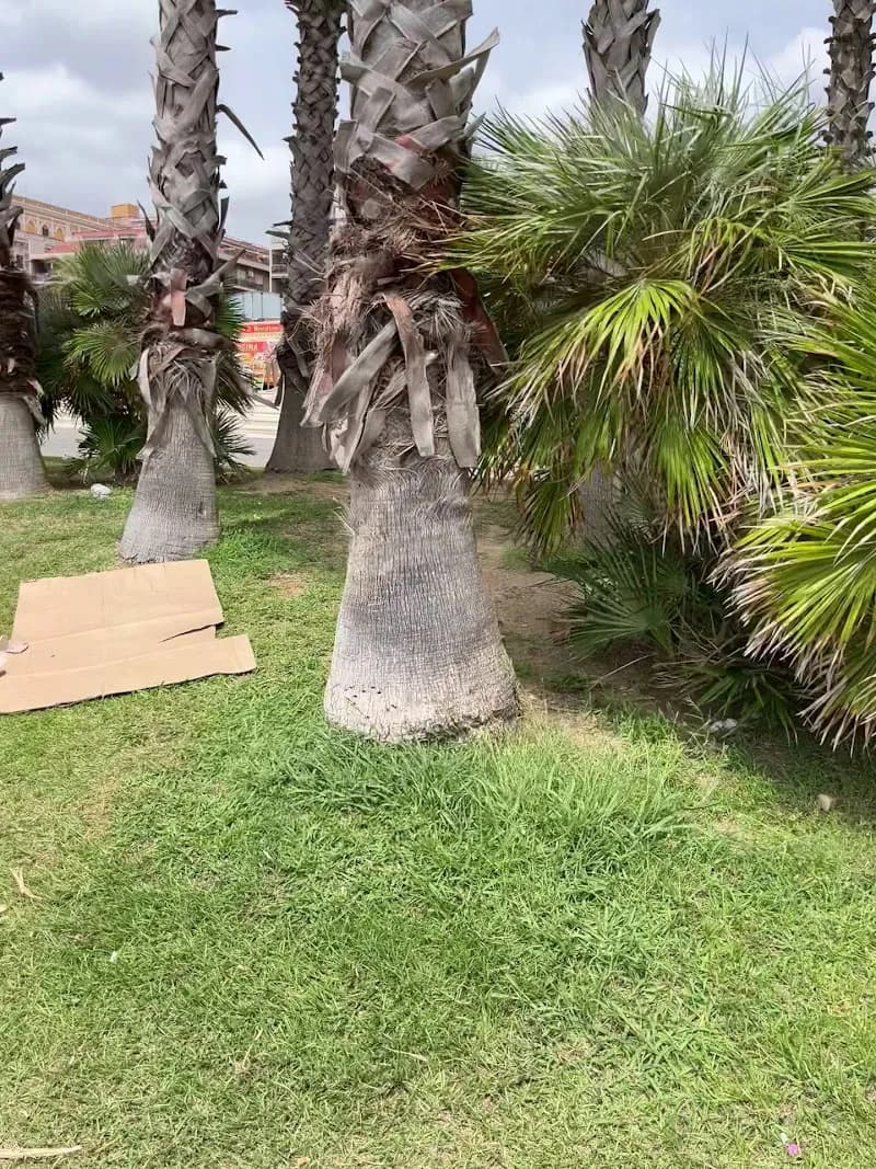 View of Spiaggia di Civitavecchia in Civitavecchia, Lazio