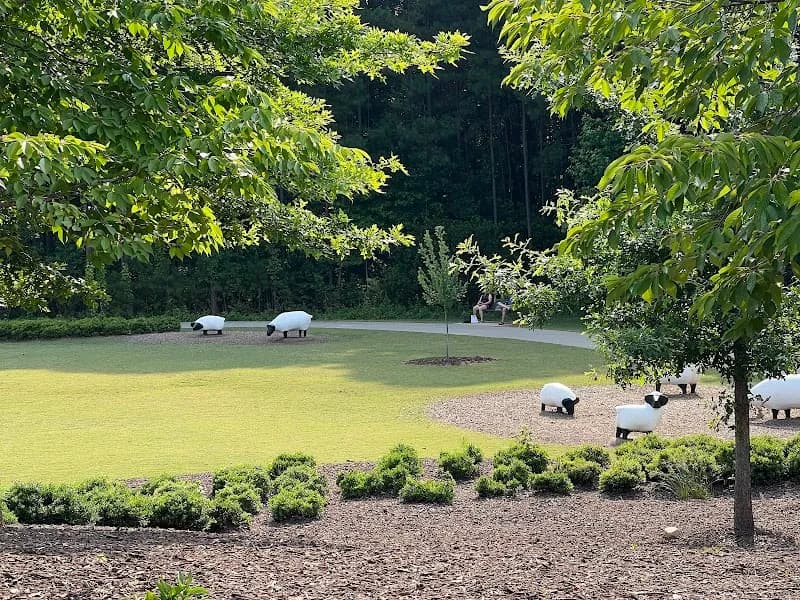 View of Splashpad in Raleigh, NC