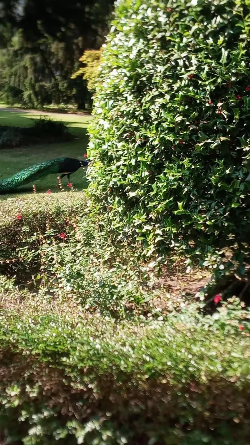 View of Sporting Club Monza in Brianza, Lombardy