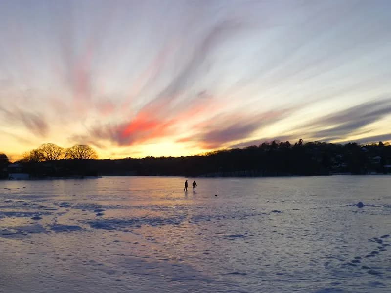 View of Spy Pond in Arlington, MA