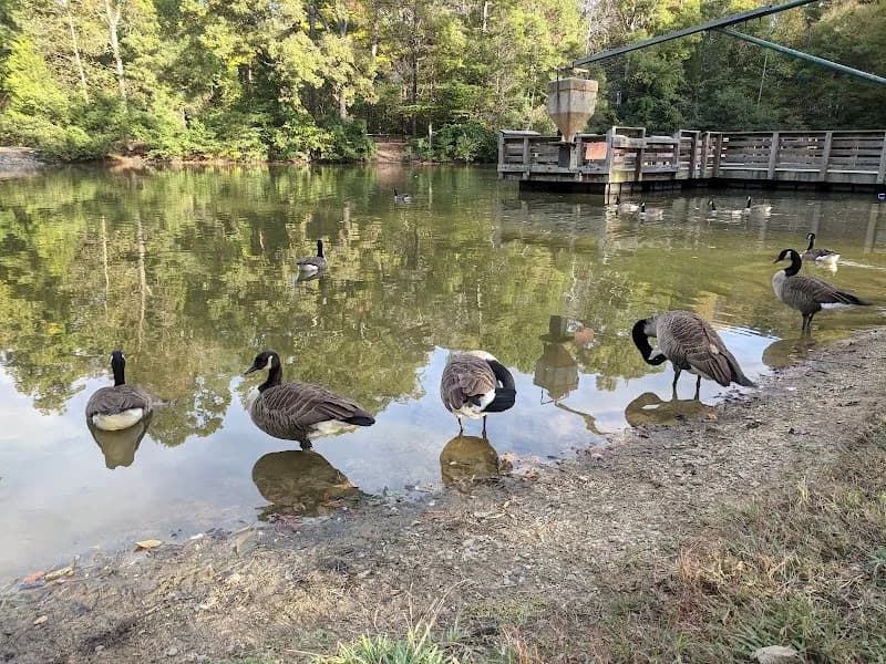 View of Squirrel Lake Park in Matthews, NC