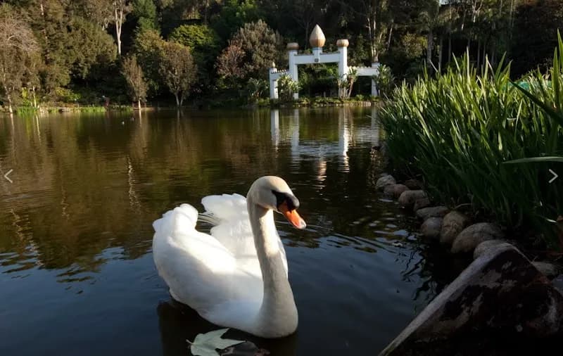 SRF Lake Shrine (Reservation Required) health in Pacific Palisades, CA
