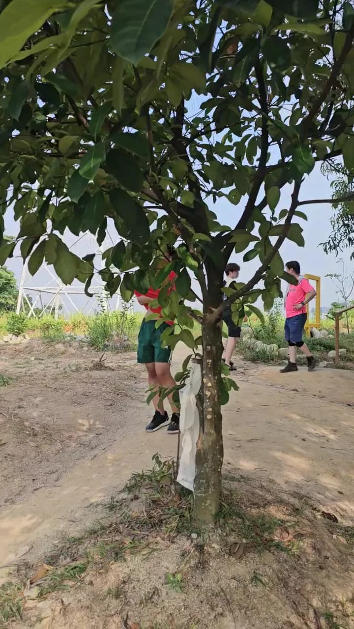 View of Sri Bintang Hill Trail in Sri Petaling, KL