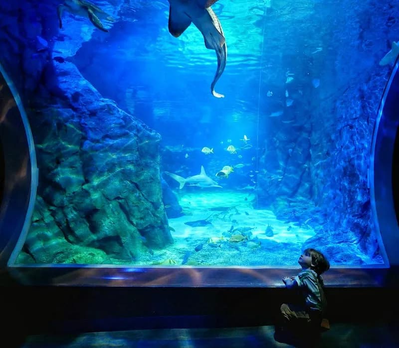 View of St. Louis Aquarium at Union Station in St. Louis, MO