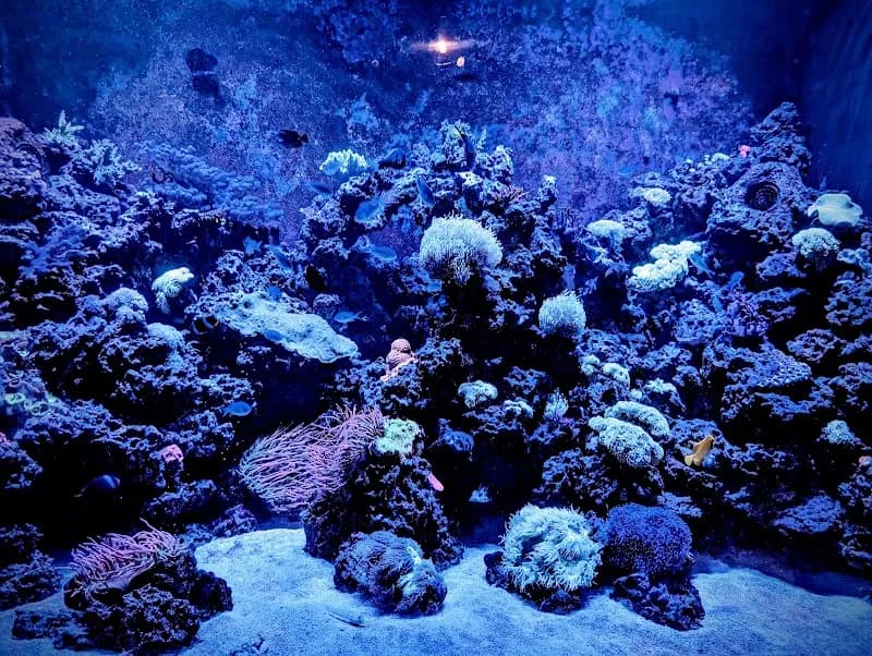 View of St. Louis Aquarium at Union Station in St. Louis, MO