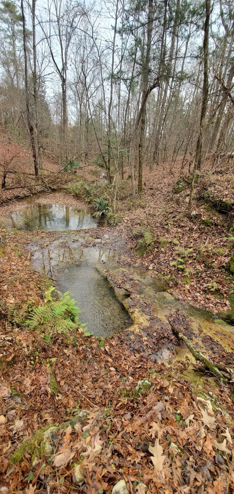 St. Stephens Historical Park park in Saint Stephens, AL