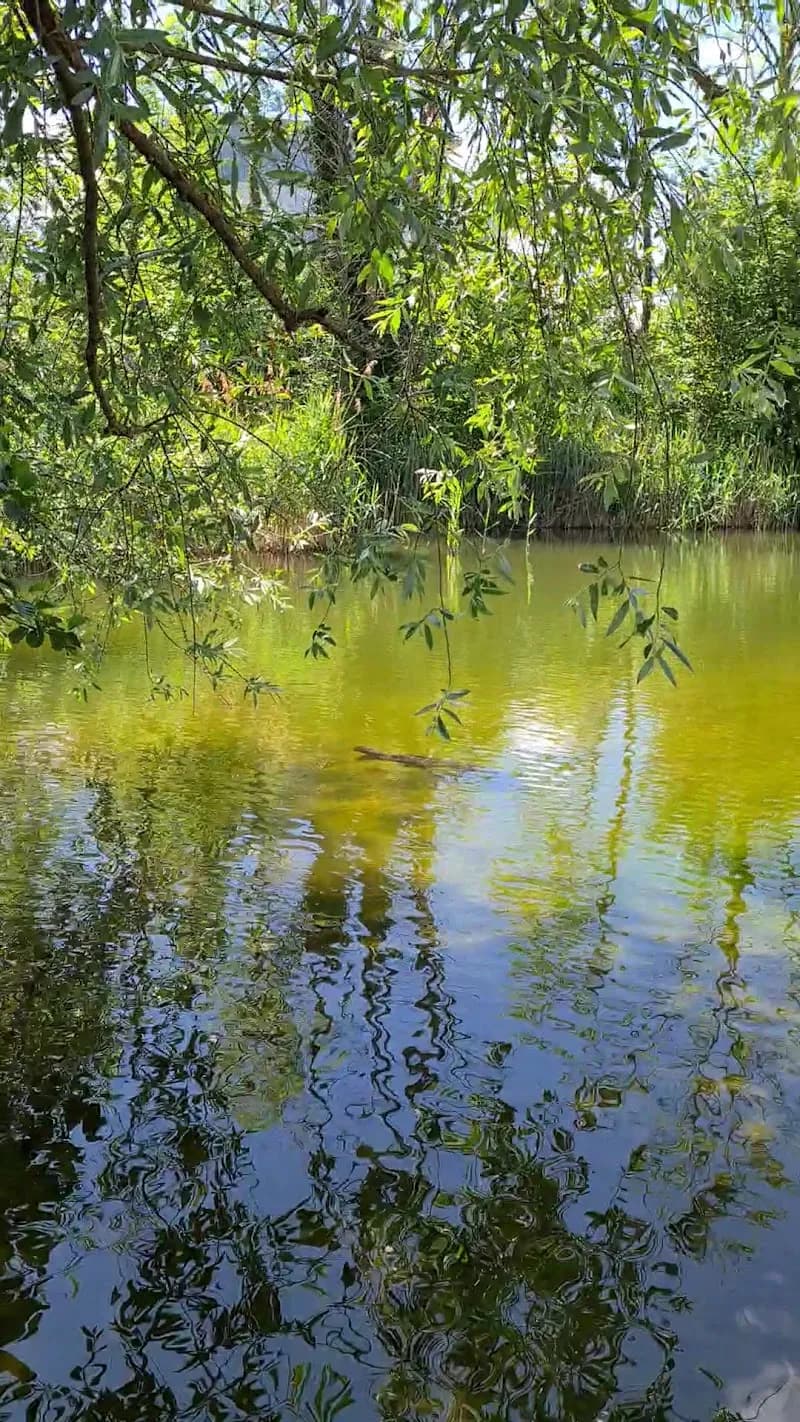 View of Stadtpark Uster in Greifensee, ZH