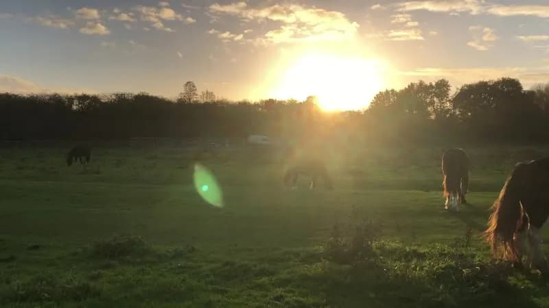 View of Staines Moor in Hounslow, London