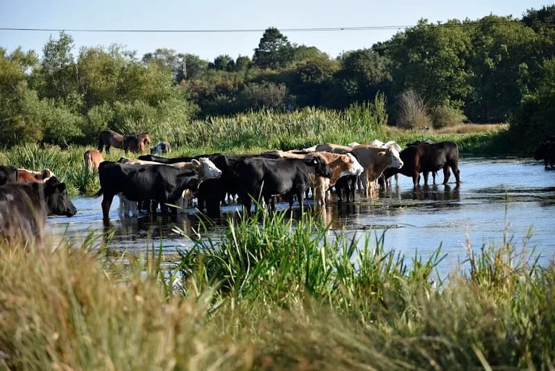 View of Staines Moor in Hounslow, London
