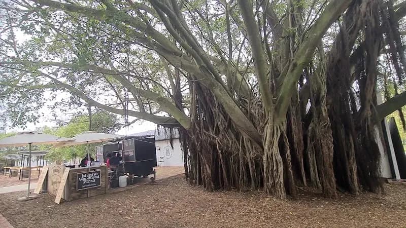 View of Stellenbosch Farmers Market in Stellenbosch, WC