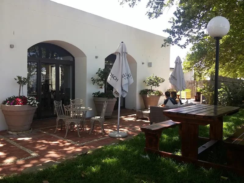 View of Stellenbosch Vineyards Wine Farm in Stellenbosch, WC