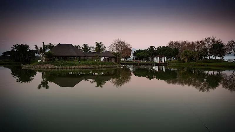 View of Stellenbosch Vineyards Wine Farm in Stellenbosch, WC
