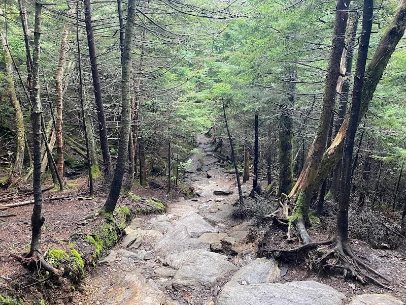 View of Sterling Pond Trail in Stowe, VT