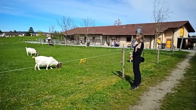 View of Stockengut in Kilchberg, ZH