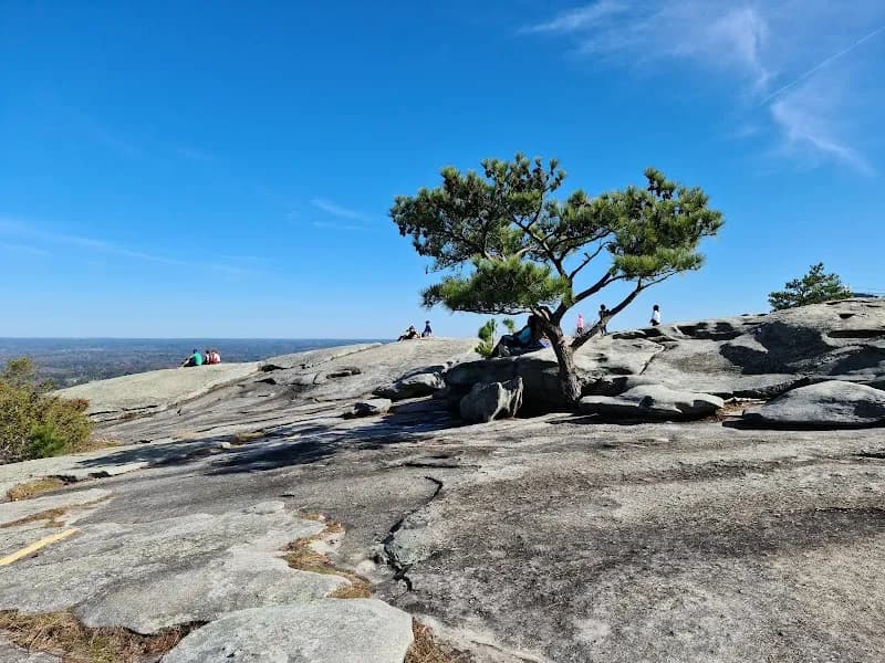 View of Stone Mountain Park in Atlanta, GA