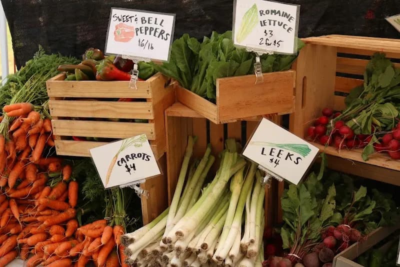 View of Stowe Farmers Market in Stowe, VT