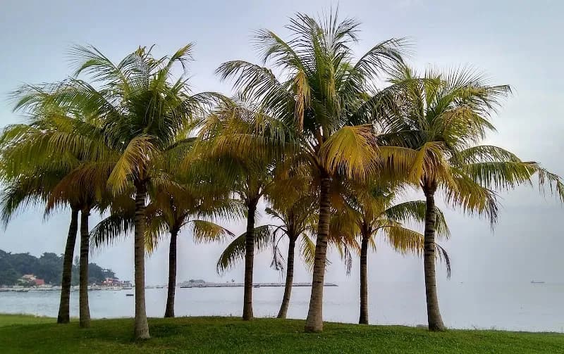View of Straits Green Park By The Sea in Tanjung Bungah, Penang