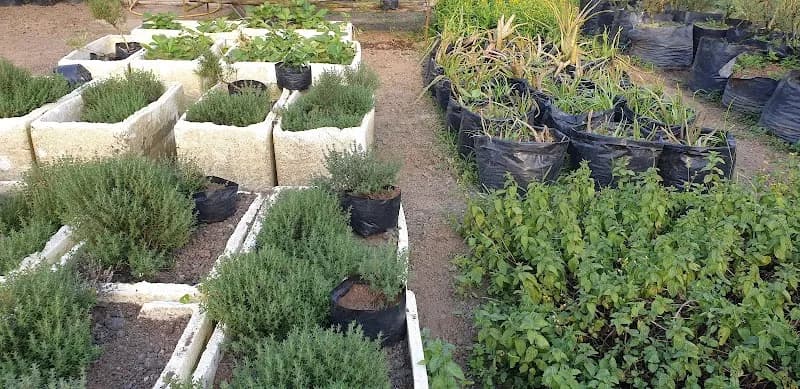 View of Strawberry Farm Tagaytay in Tagaytay, NCR