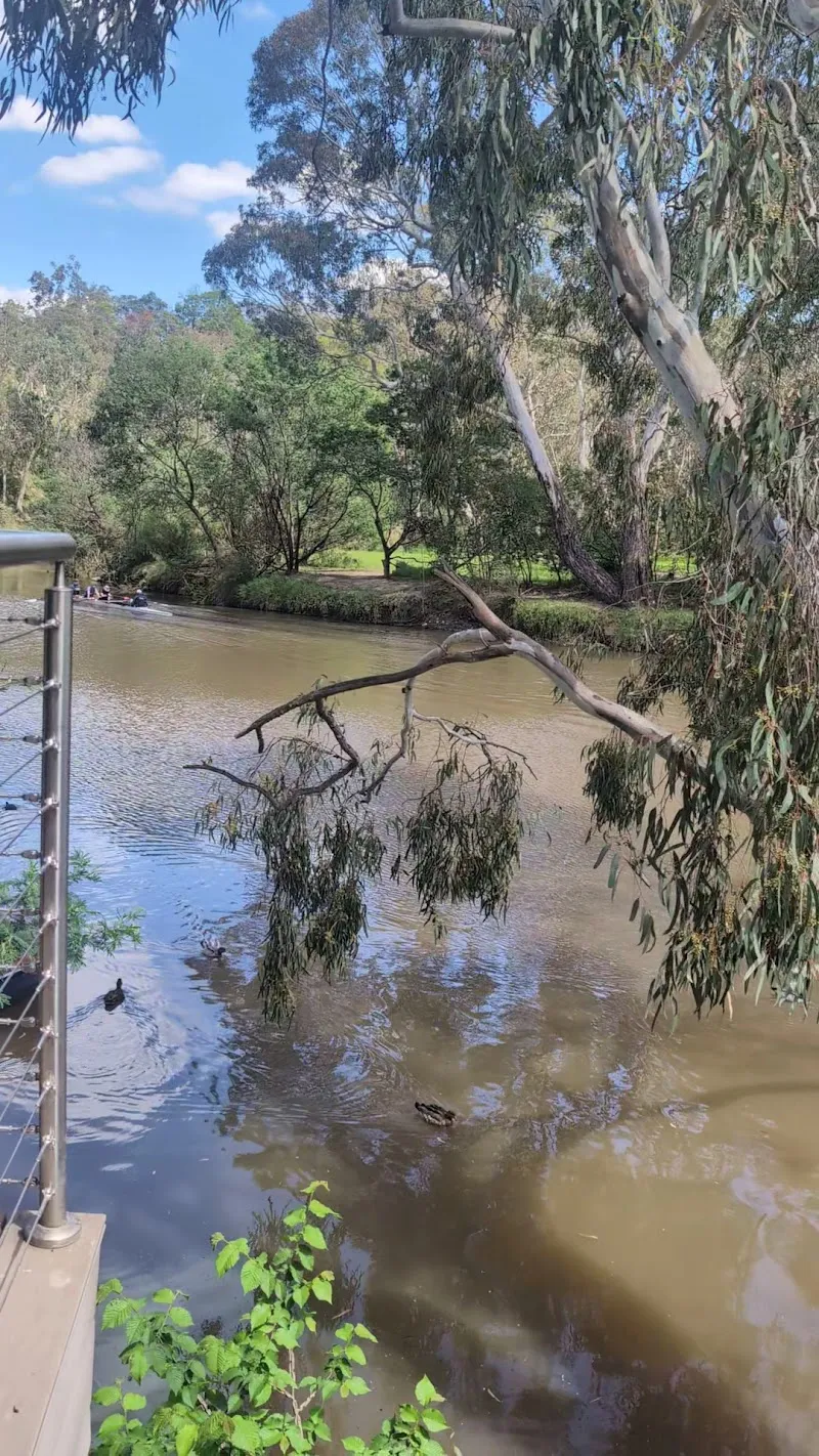 View of Studley Park Picnic Area in Kew, VIC
