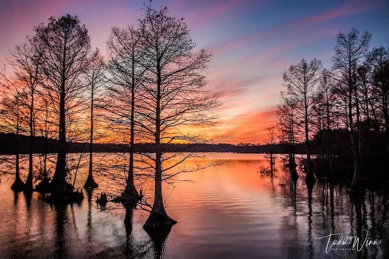 Stumpy Lake Natural Area park in Princess Anne, VA
