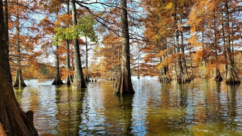 View of Stumpy Lake Natural Area in Princess Anne, VA
