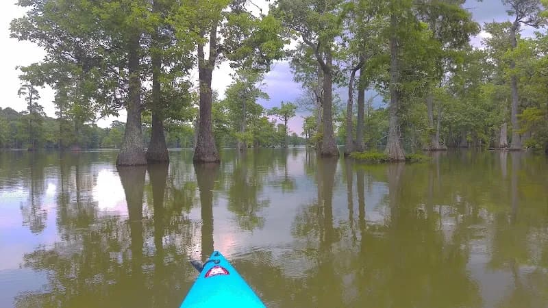 View of Stumpy Lake Natural Area in Princess Anne, VA
