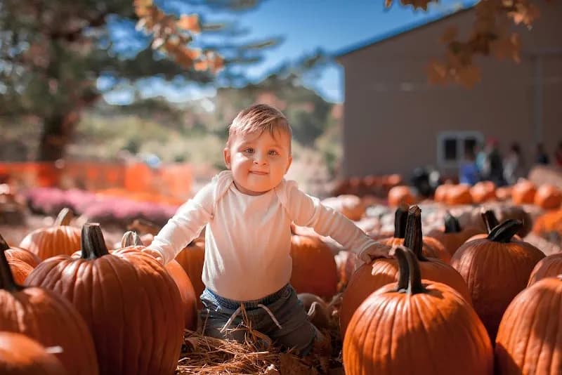 Styer's Orchard farm in Collegeville, PA