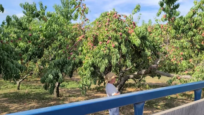 View of Styer's Orchard in Collegeville, PA