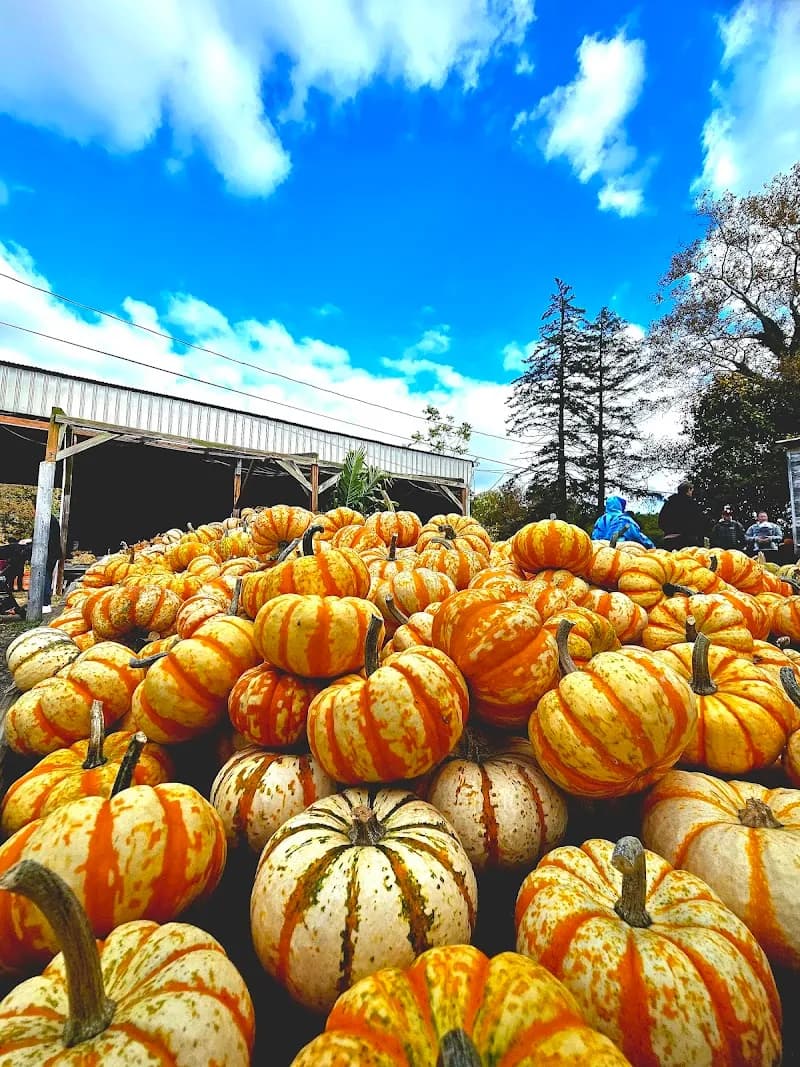 View of Styer's Orchard in Collegeville, PA