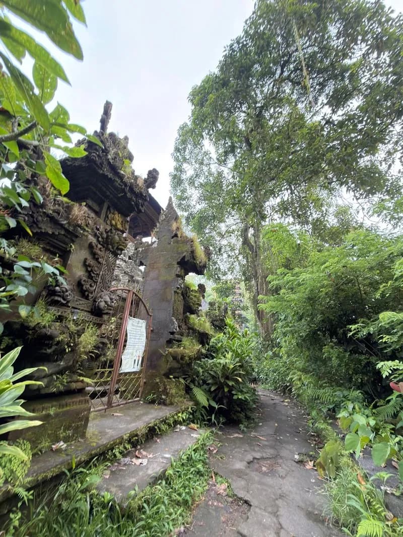 View of Subak Juwuk Manis Rice fields walk in Bangli, Bali