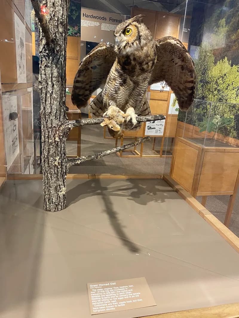 View of Sugarlands Visitor Center in Gatlinburg, TN