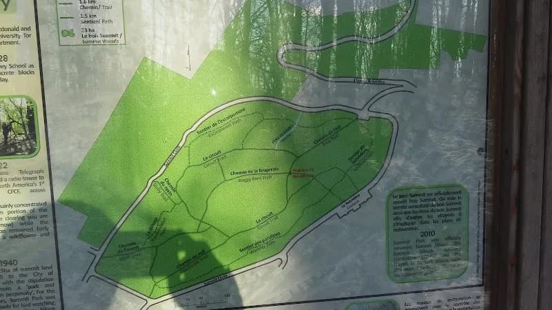 View of Summit Woods in Westmount, QC