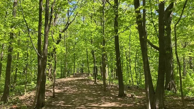 View of Summit Woods in Westmount, QC