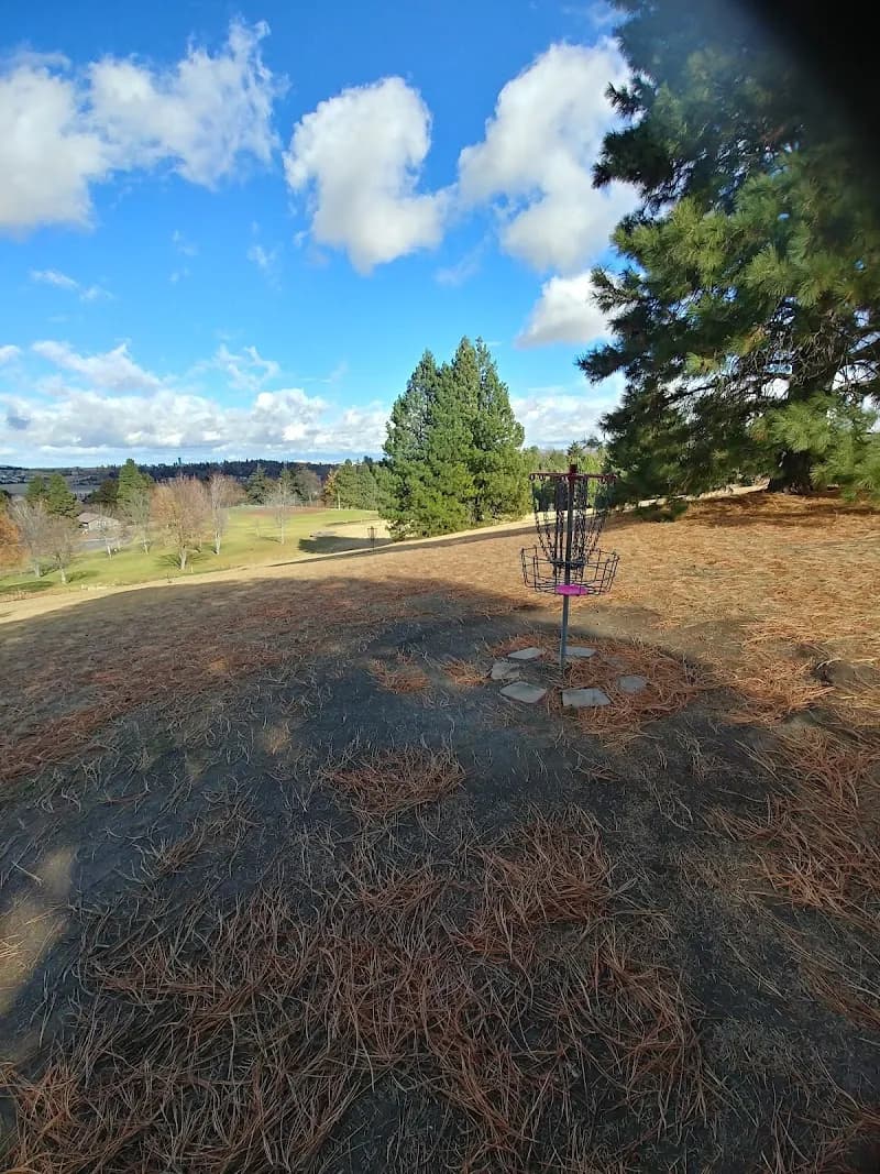 View of Sunnyside Park Disc Golf Course in Pullman, WA