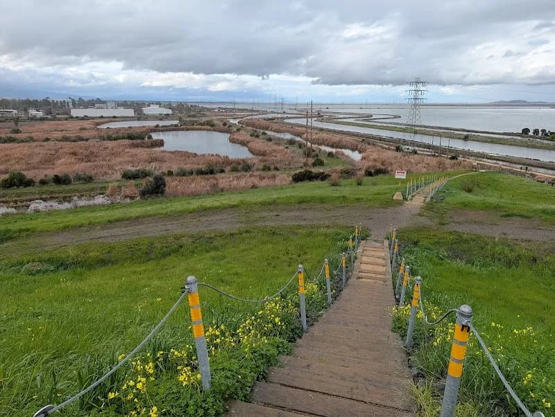 View of Sunnyvale Bay Trail in Newark, CA