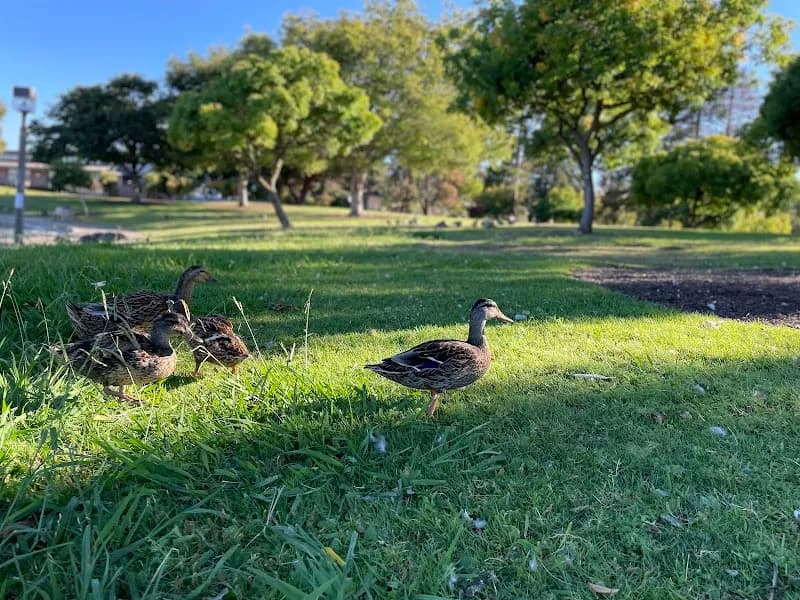 View of Sunnyvale Community Center in Sunnyvale, CA