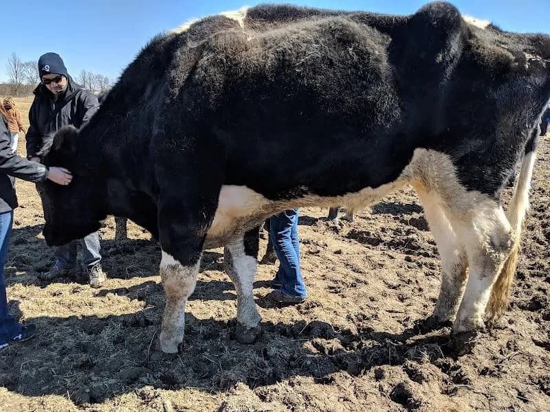 Sunrise Sanctuary non profit organization in Columbus, OH