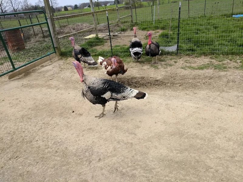 View of Sunrise Sanctuary in Columbus, OH