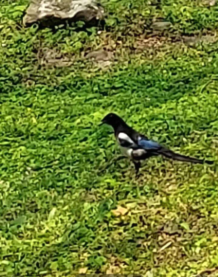 View of Sunshine Sports Park in Xin店區, NTC