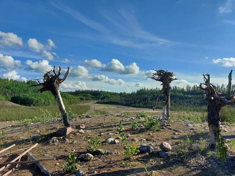View of Suomies Nature Trail in Hyvinkää, Uusimaa