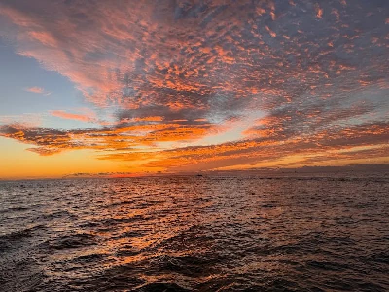 View of Sweet Liberty Catamaran Sailing & Boat Tours in Naples, FL