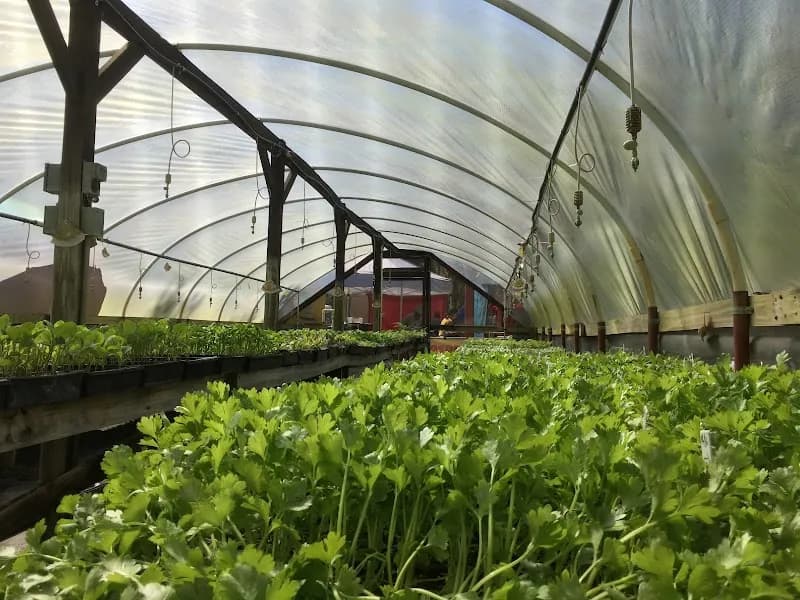 View of Sweetwater Organic Community Farm in Carrollwood, FL